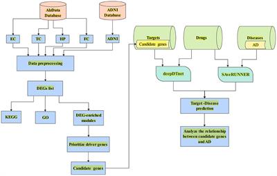 Identification of Potential Driver Genes and Pathways Based on Transcriptomics Data in Alzheimer's Disease